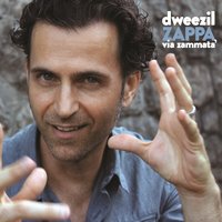 Dweezil Zappa