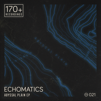 Echomatics