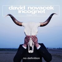 David Novacek