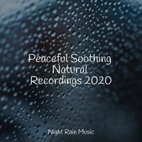 Sleeping Baby Songs